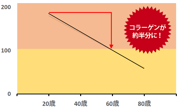 コラーゲン量の図